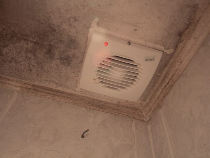 Schimmel in de badkamer voorkomen: zo houd je het droog