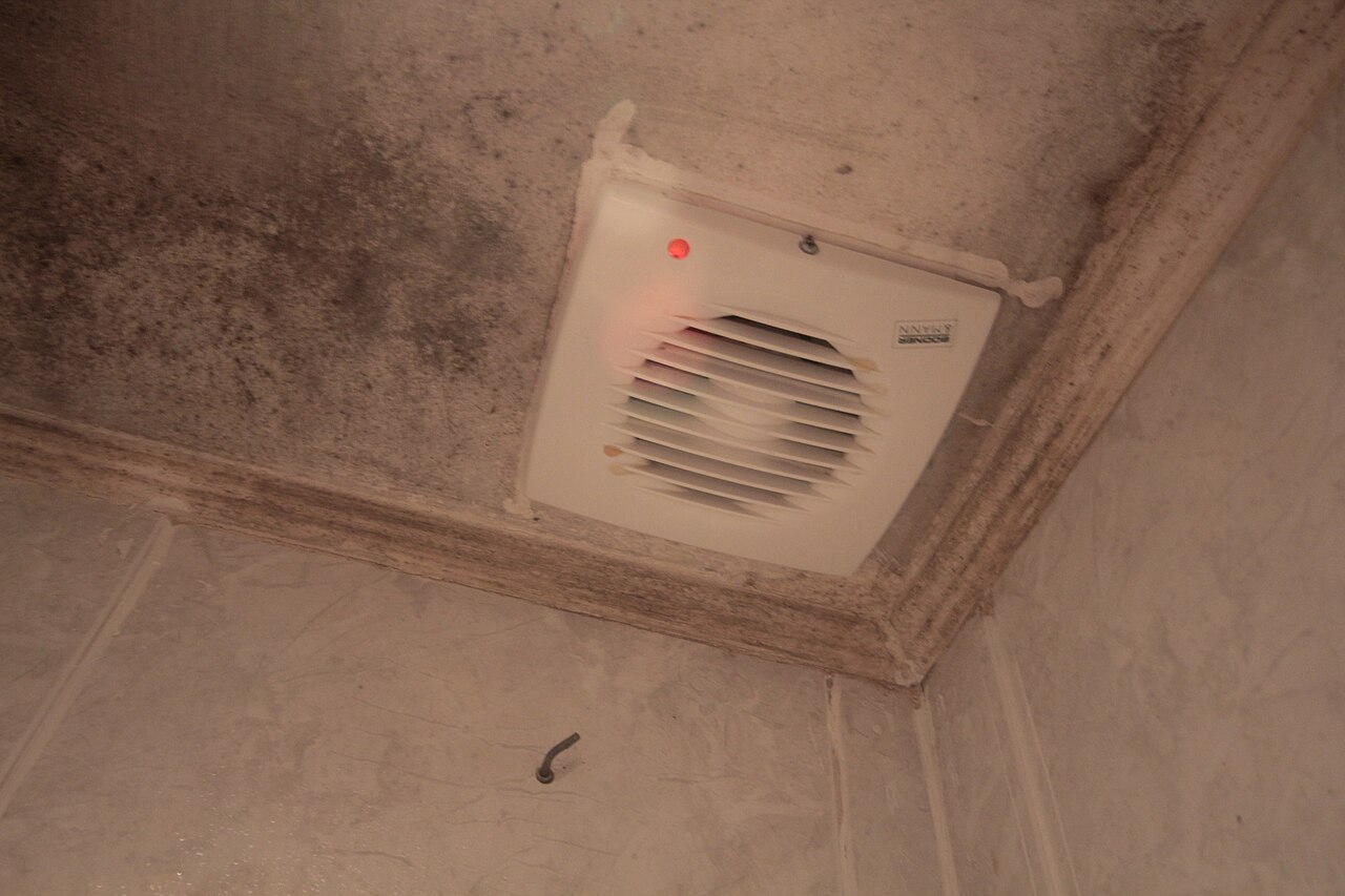 Schimmel in de badkamer voorkomen: zo houd je het droog